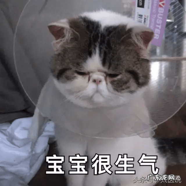 月经不来怎么办最有效的方法 月经不调是什么原因