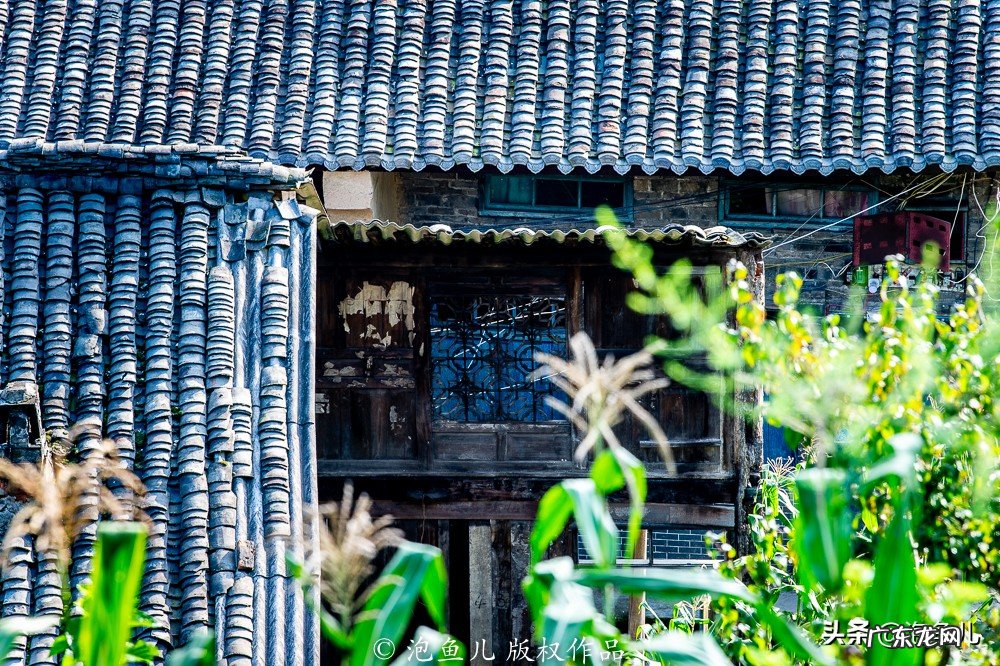 类似我是女先生的灵异小说 风水美女晒羞什么书有这个