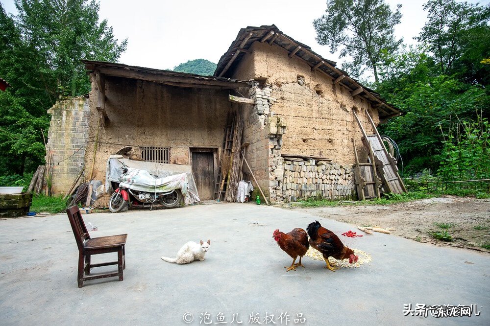 类似我是女先生的灵异小说 风水美女晒羞什么书有这个