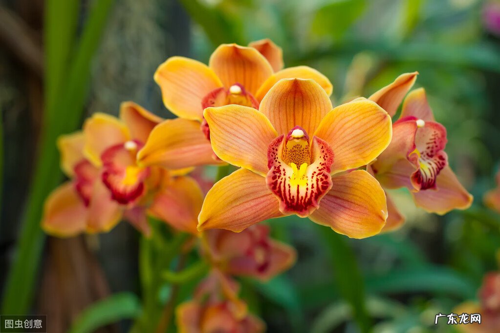 关于风水的文案怎么做 关于风水的文案