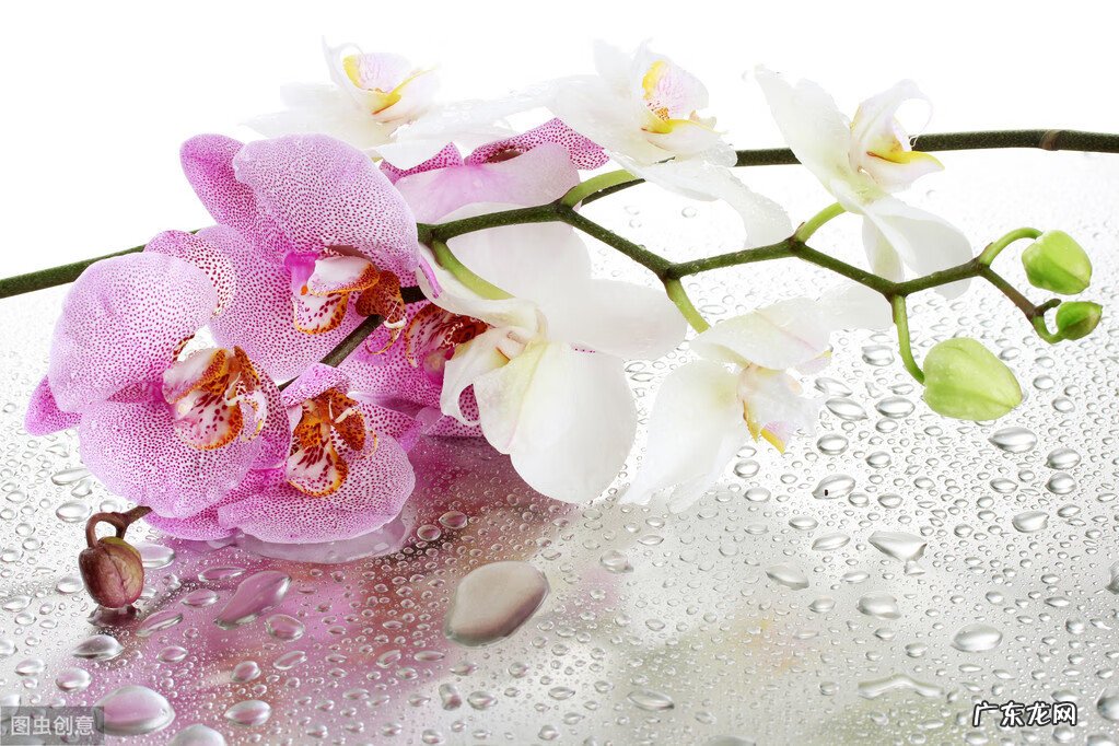 关于风水的文案怎么做 关于风水的文案