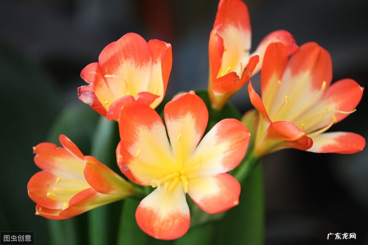 关于风水的文案怎么做 关于风水的文案