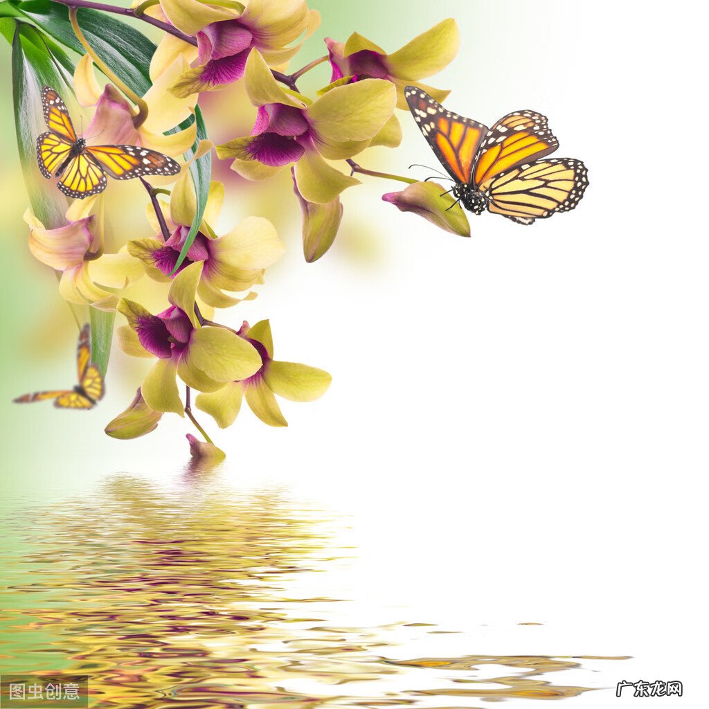 关于风水的文案怎么做 关于风水的文案