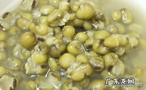 绿豆汤减肥的人可以喝吗 绿豆汤减肥还是增肥