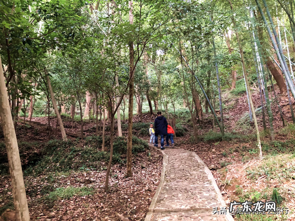 上等风水宝地图 天马山风水宝地图片