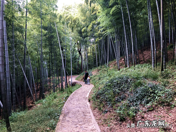 上等风水宝地图 天马山风水宝地图片