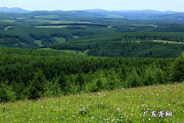 成都风水协会 玄易风水研究协会京城西分会