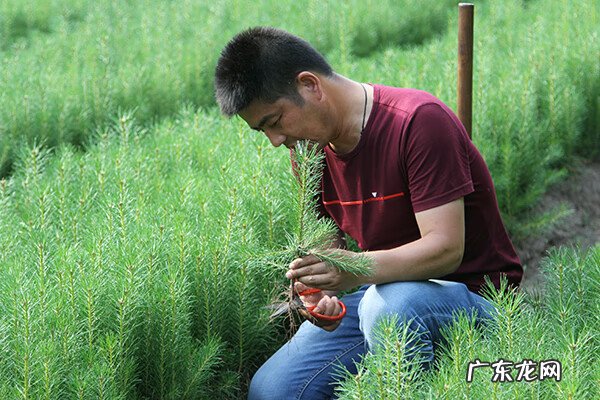 成都风水协会 玄易风水研究协会京城西分会