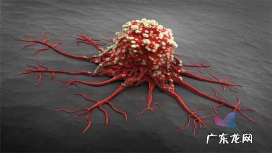 洗涤剂对人体有哪些危害 洗涤剂的危害是什么