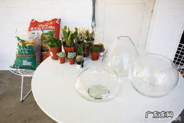 空的鱼缸如何处理