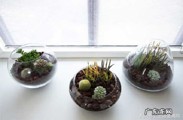 空的鱼缸如何处理