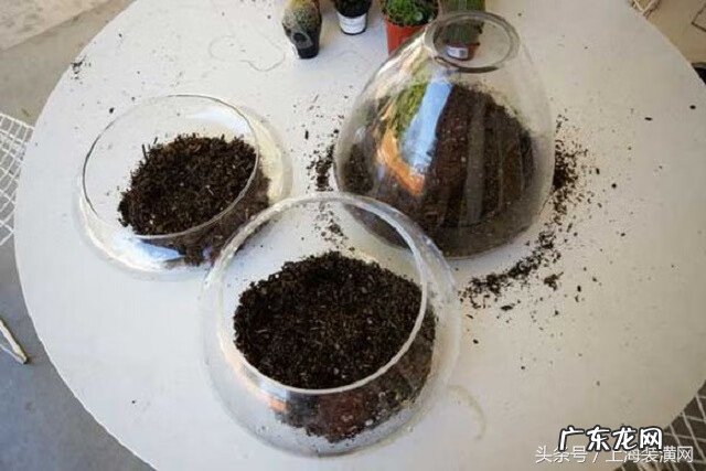 空的鱼缸如何处理