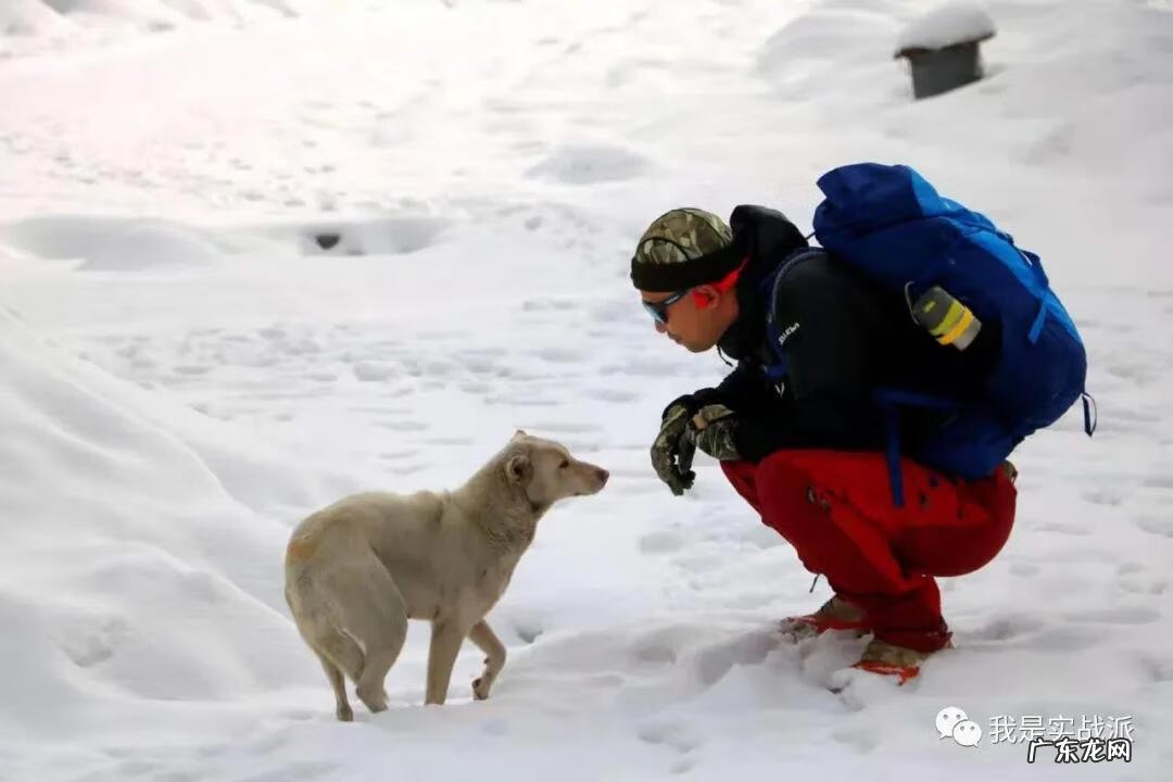 thermo水杯 Thermos水杯