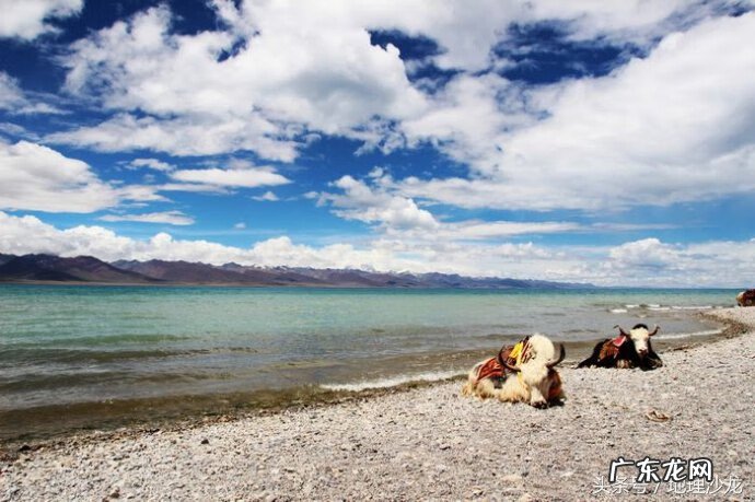 纳木错景区 到底是纳木错还是纳木错