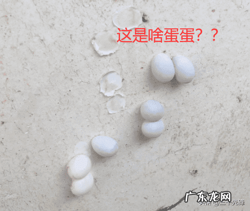 沙发后挂画风水禁忌 什么蛋长在墙上