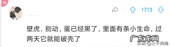 沙发后挂画风水禁忌 什么蛋长在墙上