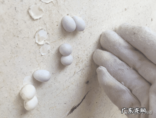 沙发后挂画风水禁忌 什么蛋长在墙上