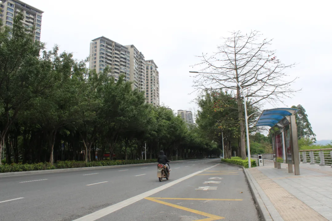 南宁风水哪里最好 南宁最好风水地在哪个区域