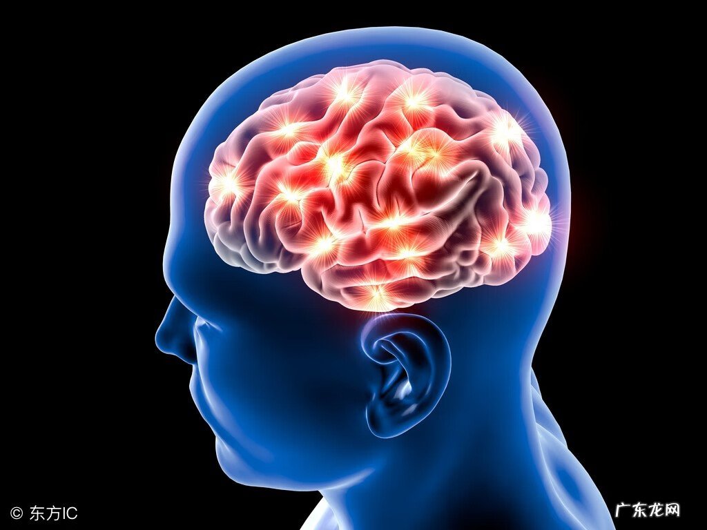 一般发烧持续几天能烧成脑炎 急性脑炎是怎么引起的