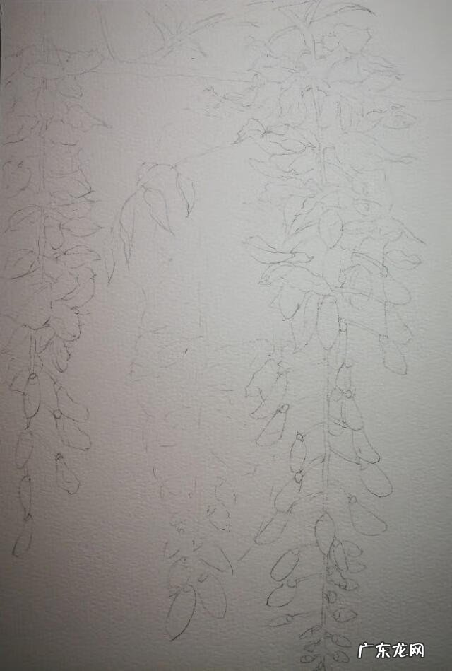 水墨紫藤花 紫藤花水彩画图片