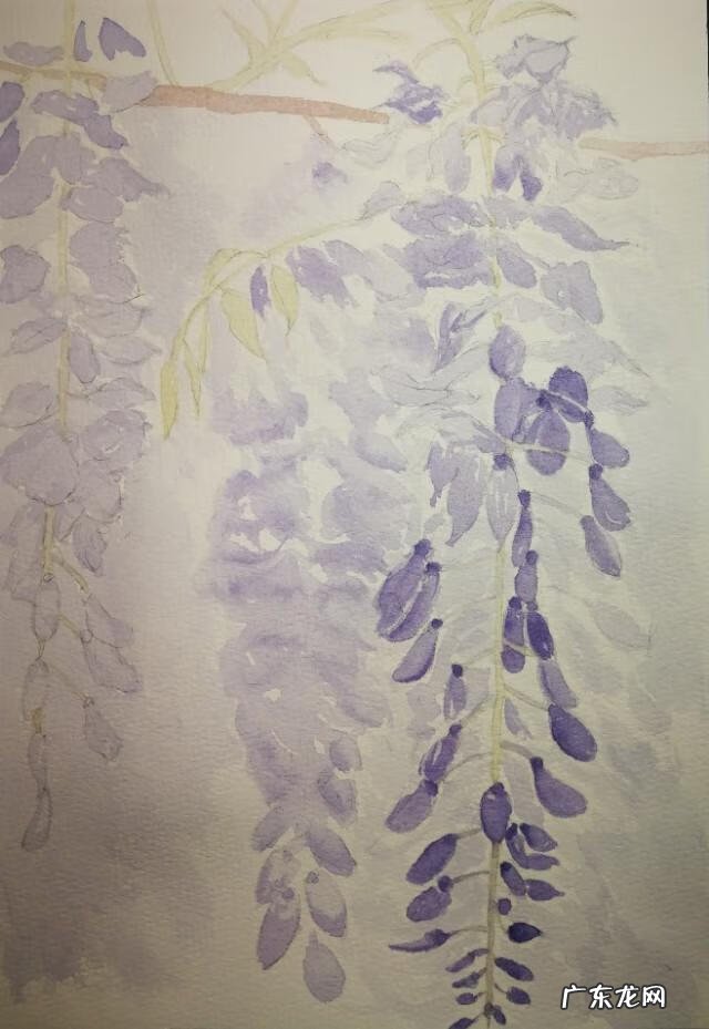 水墨紫藤花 紫藤花水彩画图片