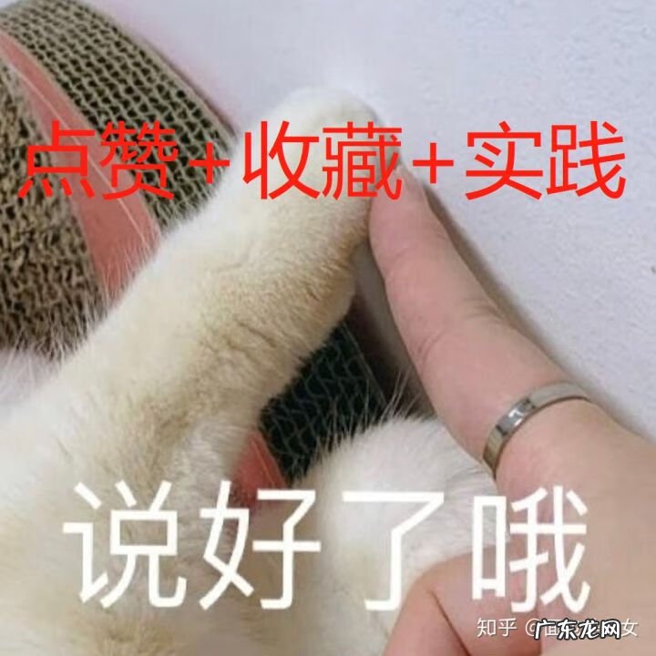 夏天跳绳出汗很多可以减肥吗 跳绳能减肥吗主要瘦哪里