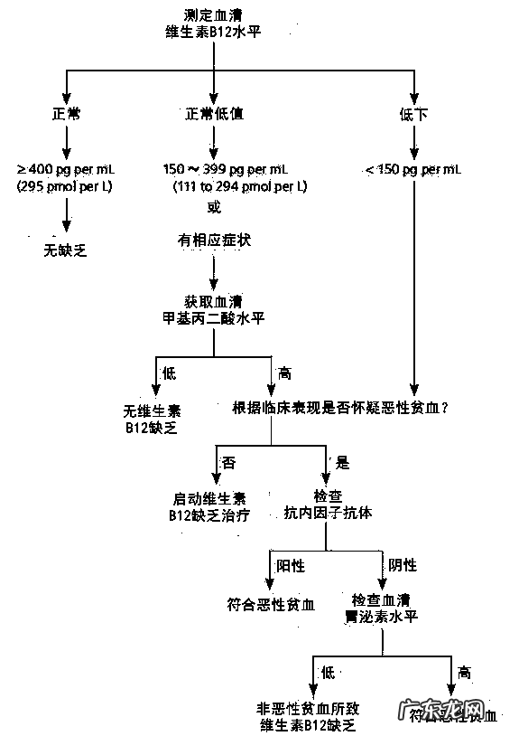 维生素d的功效 维生素b12