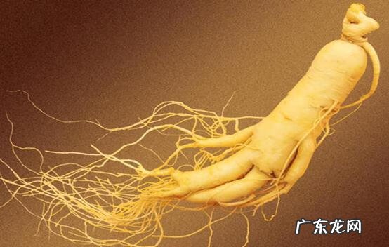 吃什么东西丰胸最快 吃什么丰胸是真的吗