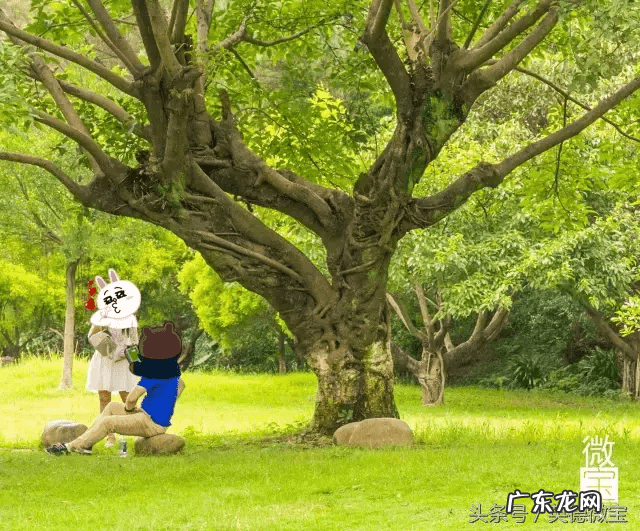 英德市最繁华商业街 英德市一条街