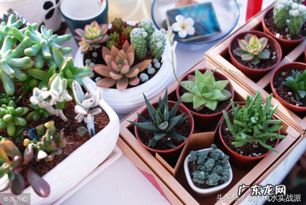 风水何为三煞 斗三煞风水布局