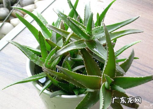 正常人为什么会掉头发 掉头发和风水有关吗