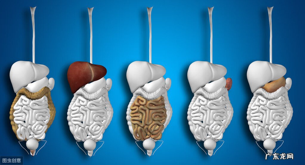 造成胆囊炎的原因 胆囊炎的原因?
