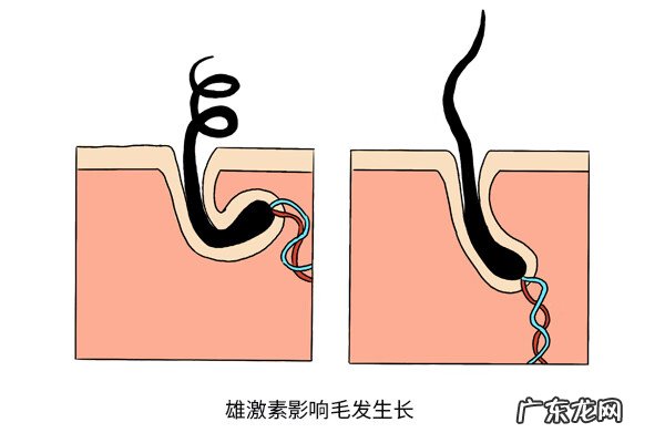 左眉毛有白毛预示什么 左眉毛有白色眉毛