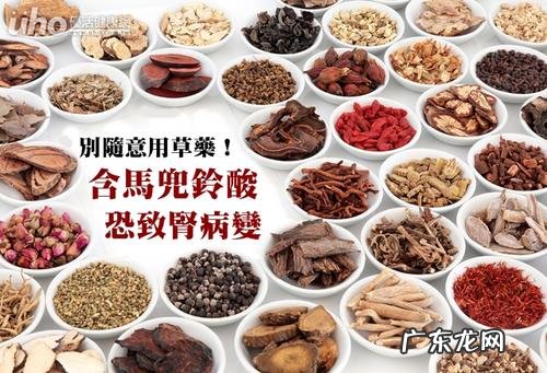 怎样清理肾脏垃圾 肾毒性