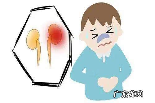 怎样清理肾脏垃圾 肾毒性