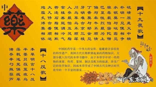 怎样清理肾脏垃圾 肾毒性