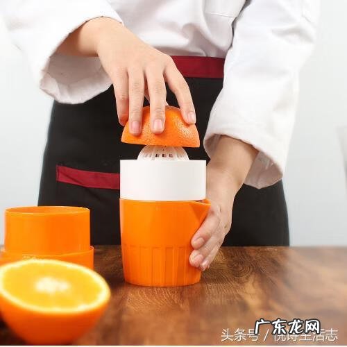 哪个牌子的榨汁机最好 哪个榨汁机好