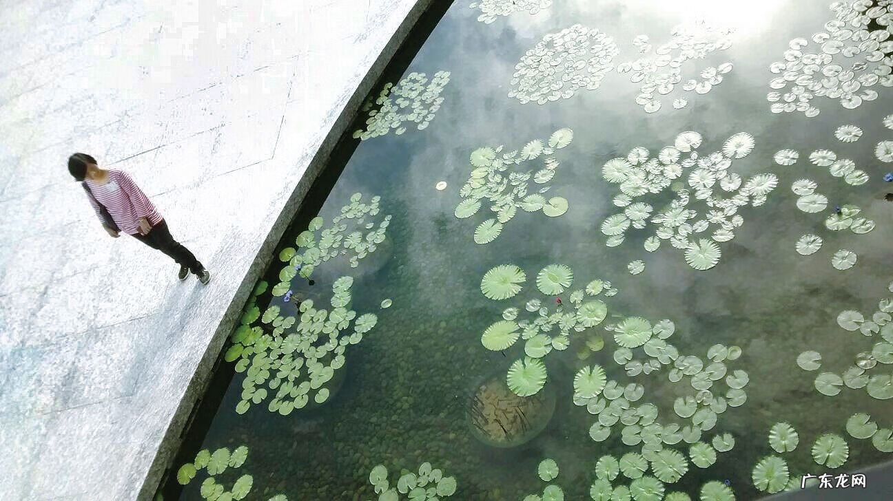 慈山寺图片 慈山寺图片大全