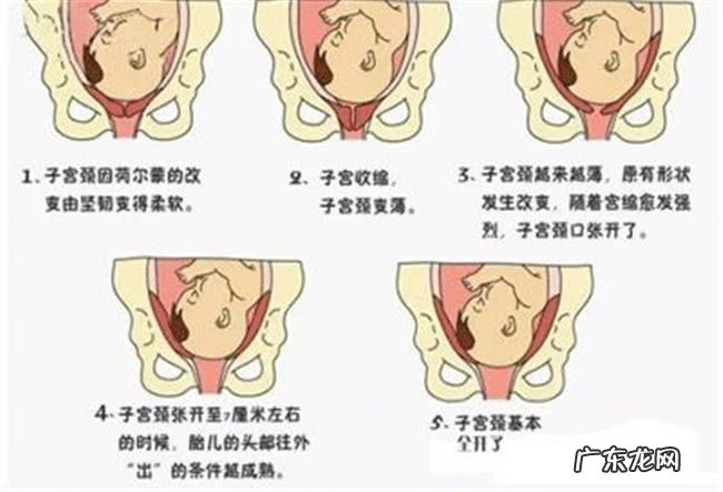 胎儿入盆后多久会生 胎儿什么时候入盆正常