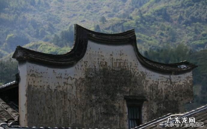 水木木的名字好不好 风水水木水墙