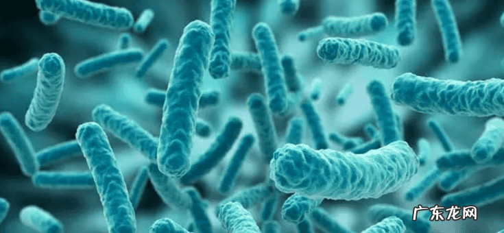 民间风水集录有声小说 民间风水奇谈听书