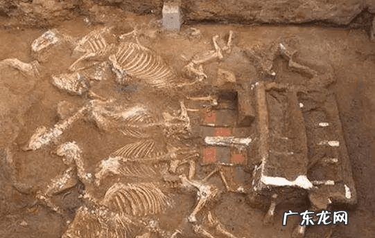 民间风水集录有声小说 民间风水奇谈听书