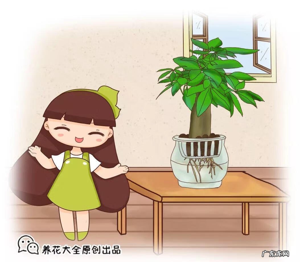 房后栽桃树风水好不好 风水学桃树适合种在什么地方