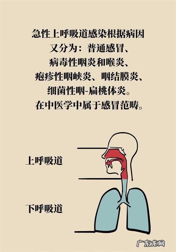 感冒怎样区分风寒还是风热 风寒感冒和风热感冒的区别和症状治疗