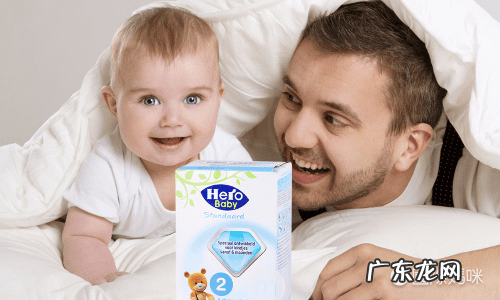 荷兰奶粉排行榜前十位 荷兰进口的奶粉排行榜