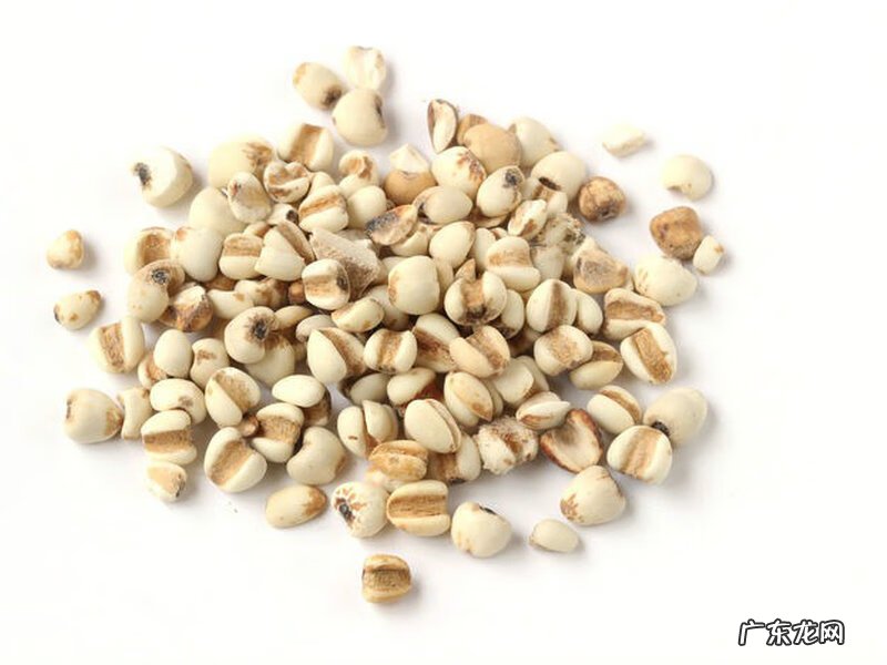 生薏米和生薏苡仁 生薏苡仁与炒薏苡仁的区别