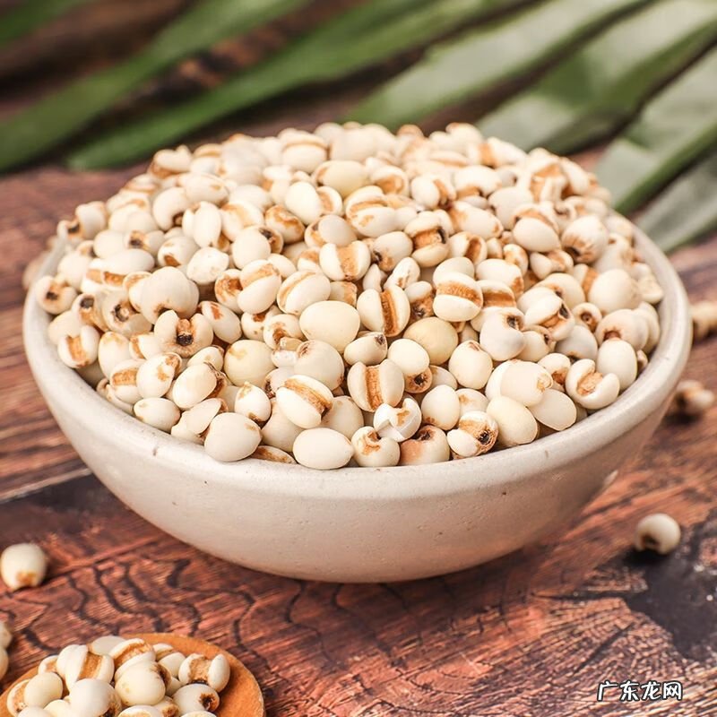 生薏米和生薏苡仁 生薏苡仁与炒薏苡仁的区别