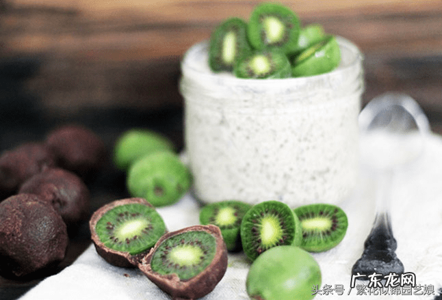 软枣又叫什么名字 软枣子掉果是什么原因