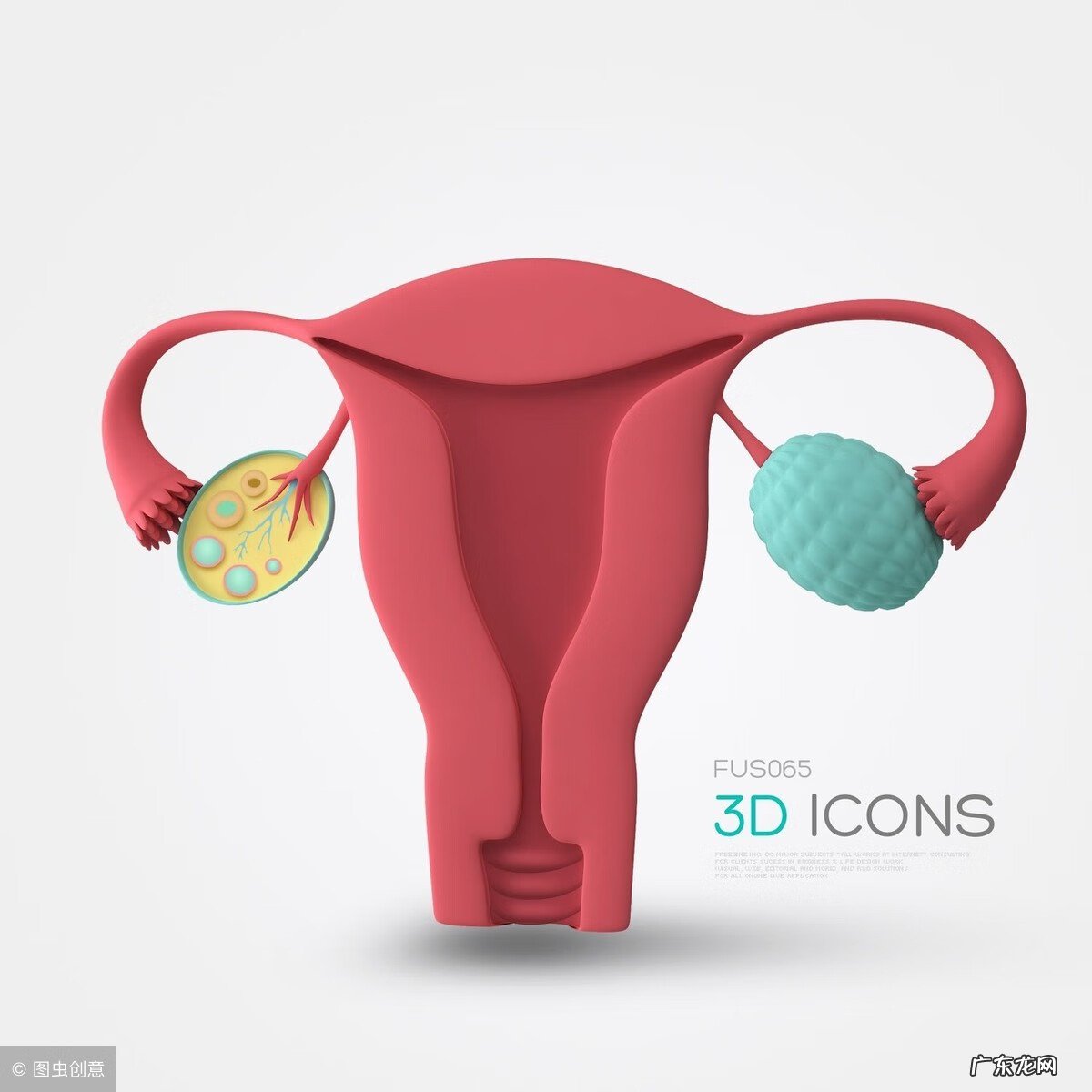 宫颈糜烂的原因 宫颈糜烂症状有哪些