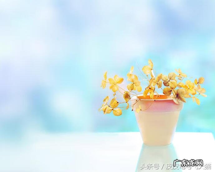 风水木局怎么样 风水中的木局是什么